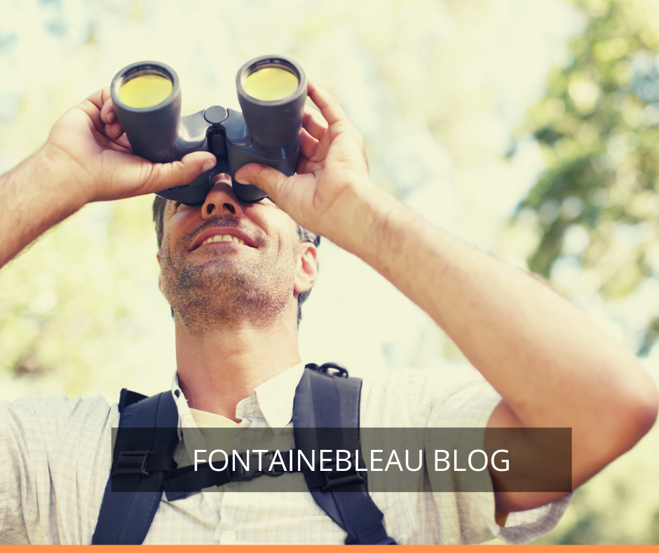 Fontainebleau Blog