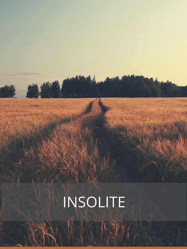 Insolite